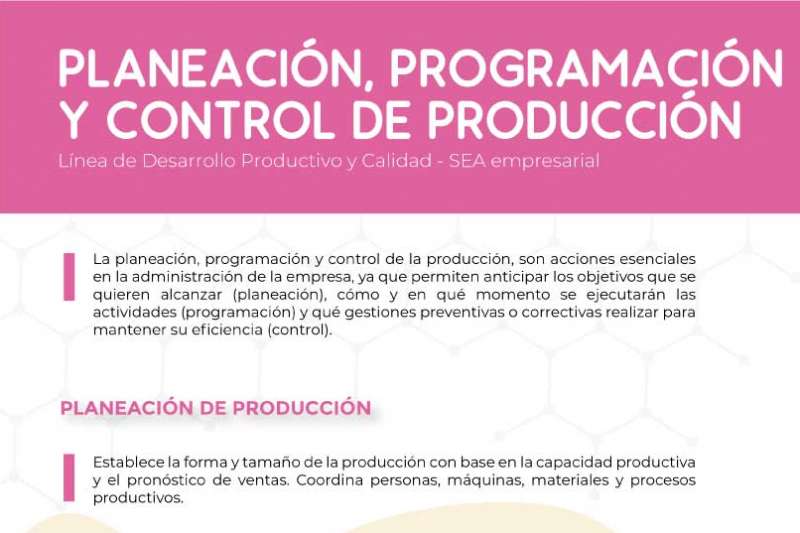 Planeación, programación y control de producción 